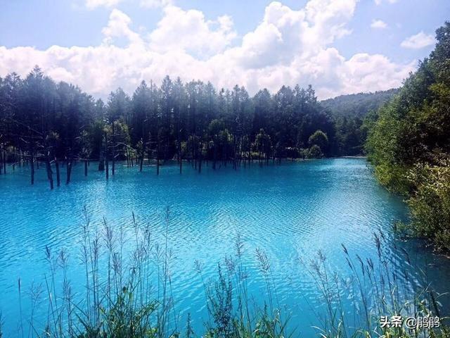 法国阿维尼翁旅游景点，