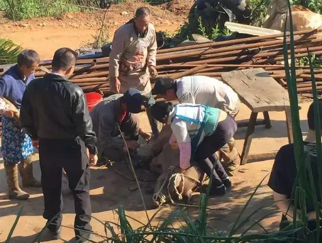 兰职伙食怎么样？