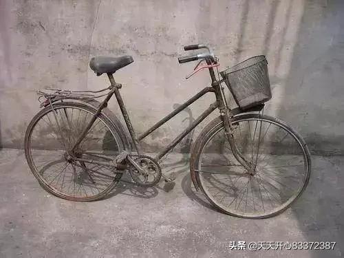 离异单身多年女性的婚姻（离异单身多年女性的婚姻怎么样）(图1)