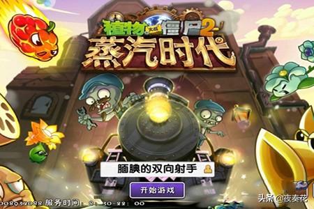 原木风家具如何搭配植物