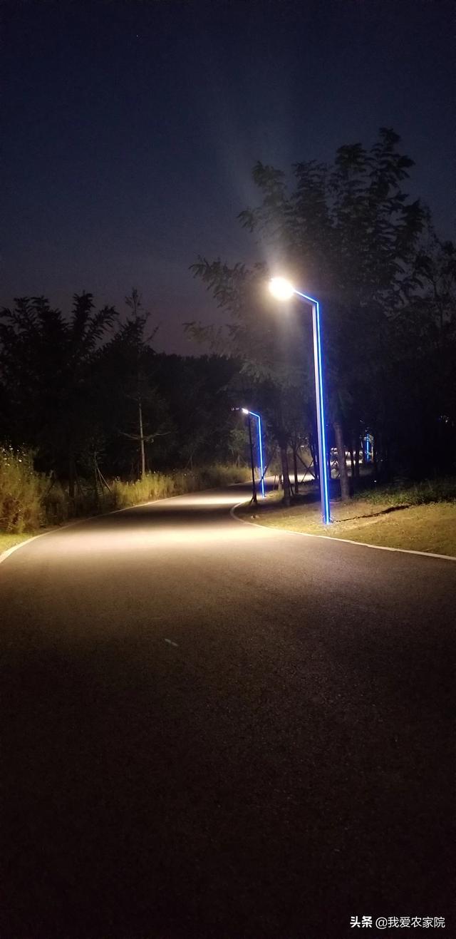 乡镇致富网(在农村做什么生意好?致富好项目？)