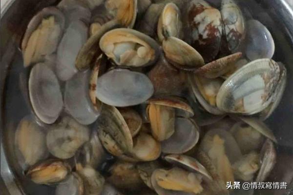 炒花甲的做法-炒花甲的做法步骤