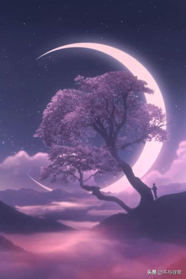 每日故事（每日故事精选）