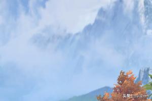 天龙八部3视角参数如何设置才能成为全景俯视的角度，就是那种看着很远的，人物看起来很小的那种？：天龙八部最佳视角