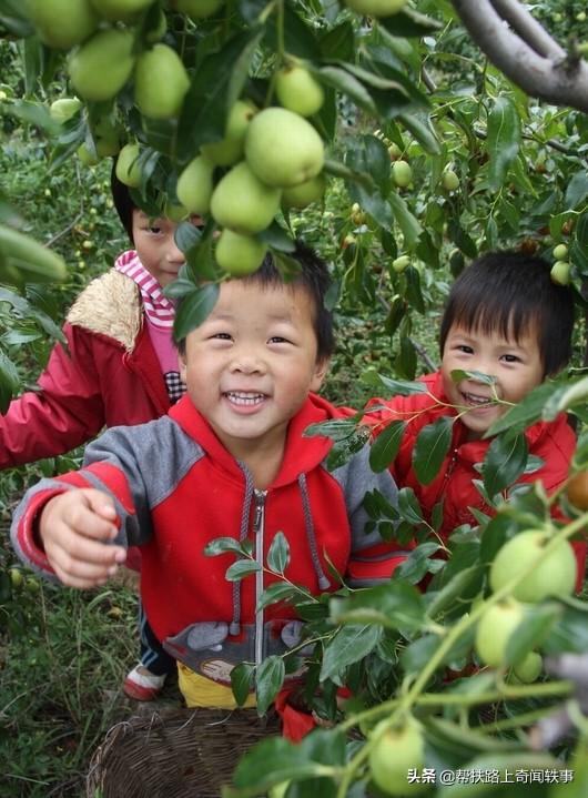 粮食价格上涨带动什么行业，粮食价格上涨带动什么行业发展