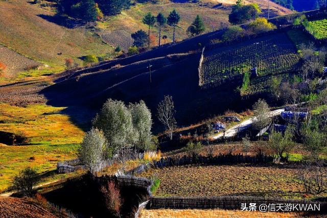 十二月份国内旅游,十二月份国内旅游排行榜