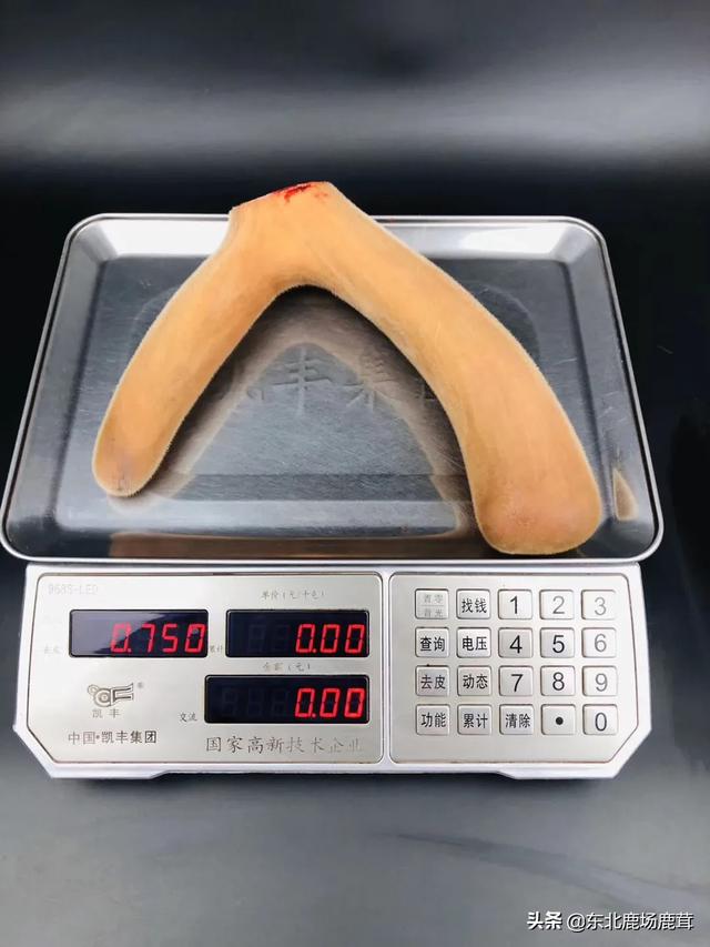 第一次做鸡肉，做完之后发现忘记用水焯啦，请问这鸡肉能吃吗?(买的鸡肉)？：医学生炖鸡