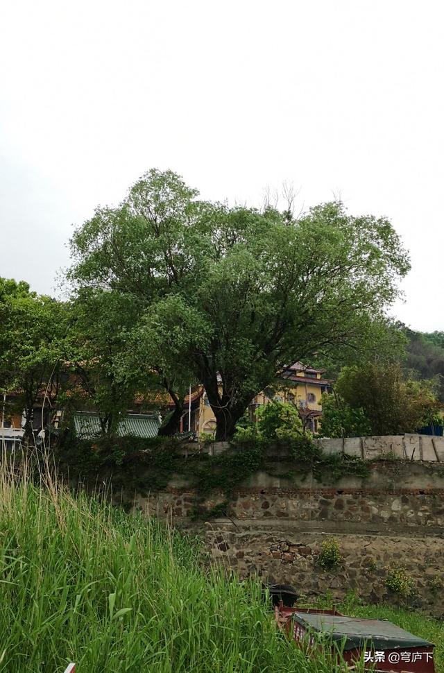 浙江芜湖好玩景点门票价格， 浙江芜湖好玩景点门票价格多少