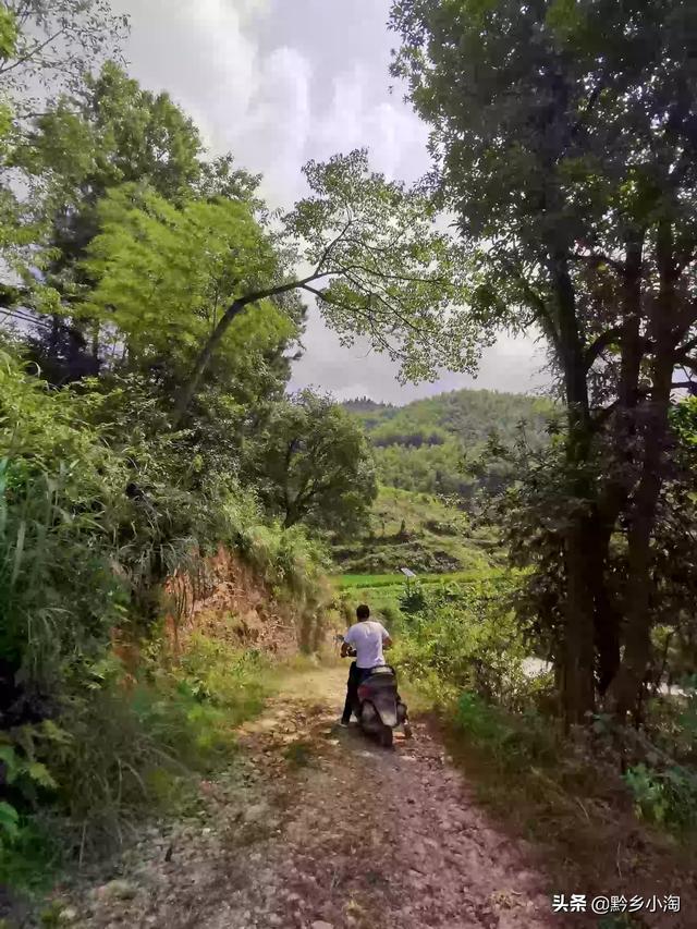 花卉景观设计平面图-花卉景观设计平面图手绘