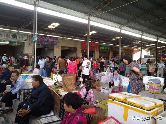 重庆暑天旅游攻略路线， 重庆暑天旅游攻略路线图