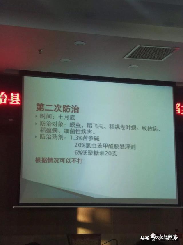 农业养殖小龙虾稻谷鱼，农业养殖小龙虾稻谷鱼怎么养