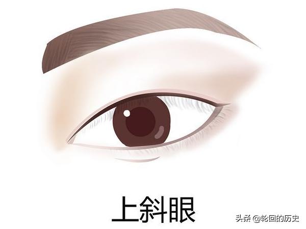 [眼神图片]眼睛类型及图片及解说，常见眼型？