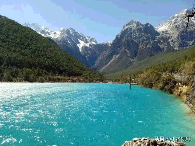 云南丽江市玉龙纳西族自治县看花民宿一个人一天多少钱啊,丽江哪里看花