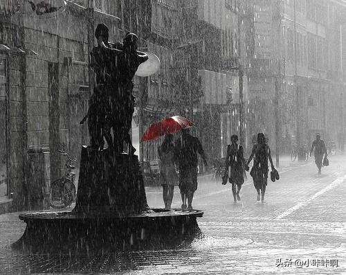 下雨天by 词枝（下雨天by词枝全文笔趣）