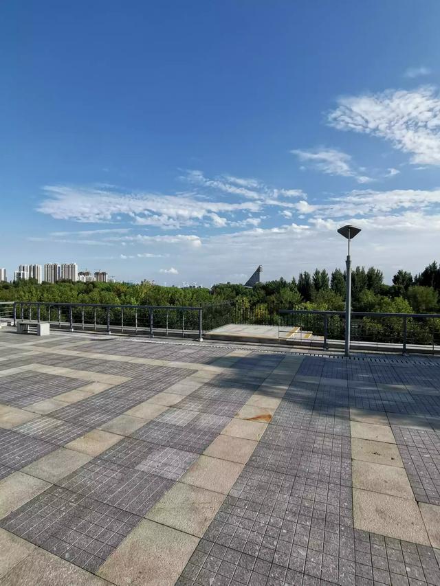 定居天津和青岛哪个好