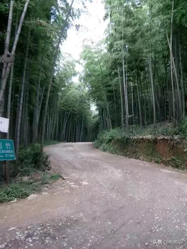 竹海风景区图片-宜兴竹海风景区图片