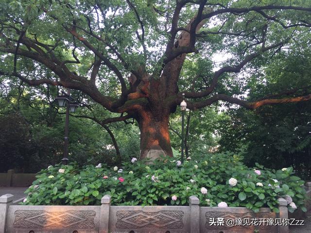杭州秋天徒步必去景点(图3)