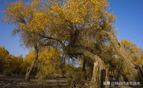 10月份去新疆旅游好玩吗