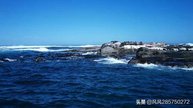 海外生活蹭饭，海外生活vlog