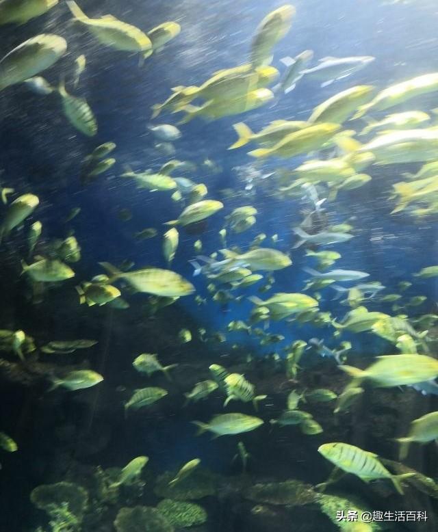 在河南周口开车怎么样啊