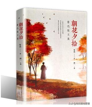 鲁迅的散文集_鲁迅的散文集分类有哪些