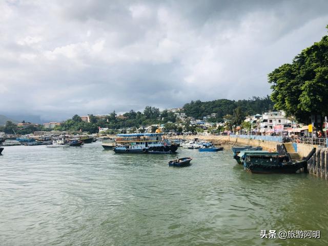 鱼蛋怎么做(香港鱼蛋怎么做)