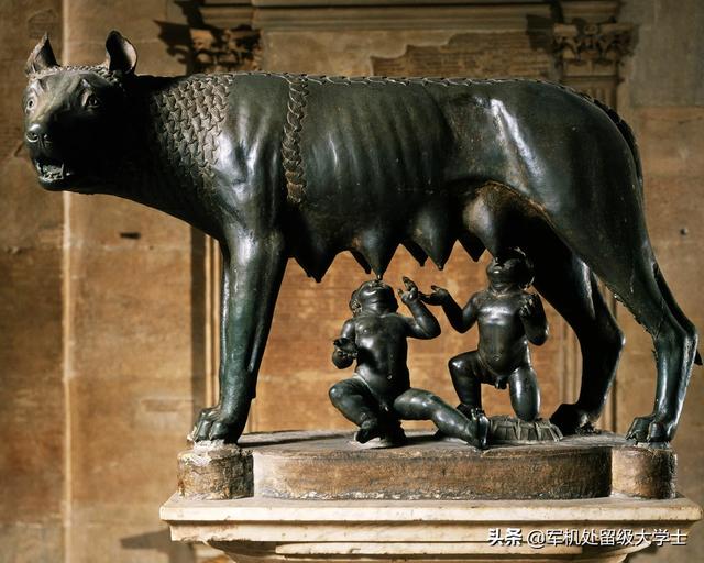 鸵鸟女孩是什么_鸵鸟女孩儿