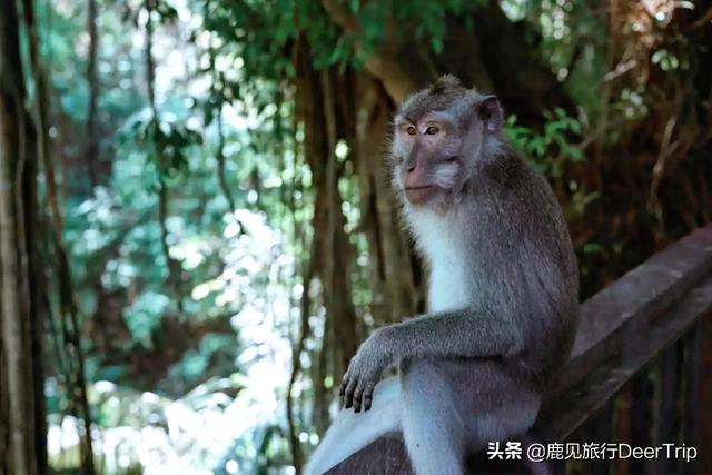 推荐的海边旅游 国外有哪些,推荐的海边旅游 国外有哪些地方