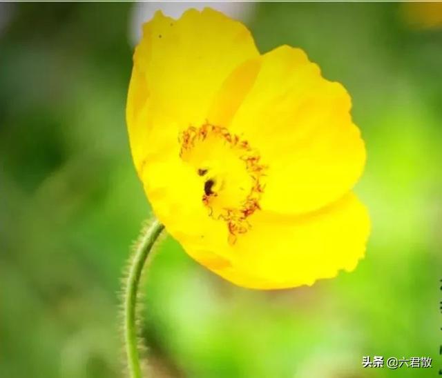 女人为什么会变成怨妇(图1)