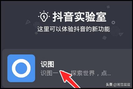 抖音国际版识图