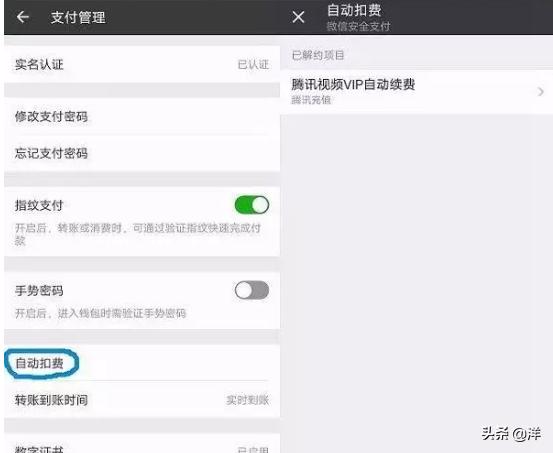 微信自动续费怎么关(图13)