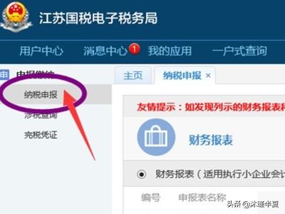 手把手教你使用江苏电子税务局网站，轻松解决税务难题，电子税务局江苏官网
