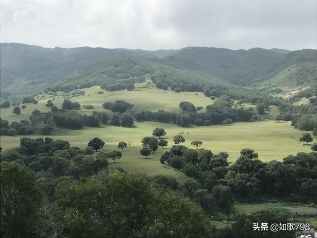 晴天海外生活，晴天外语