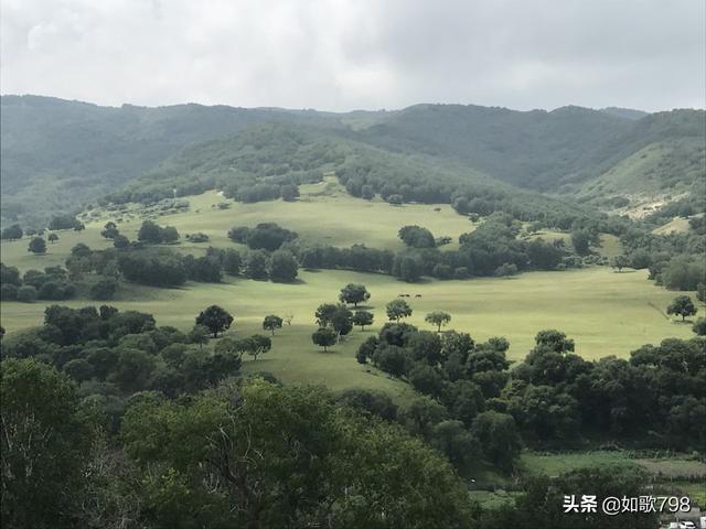 美美海外生活，美美生活在美国近期怎么了