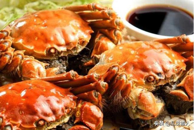 苏州市什么行业最好赚钱