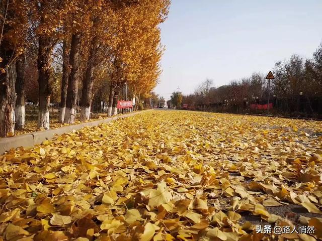 怎么让自己心情变好心态变好(图8)