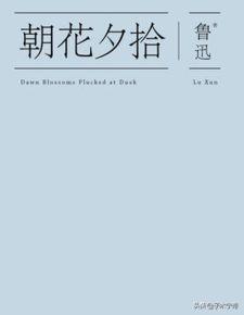 朝花夕拾内容简介(《朝花夕拾》10篇主要内容)