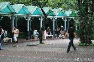 [深圳烧烤]深圳哪里适合开烧烤店？