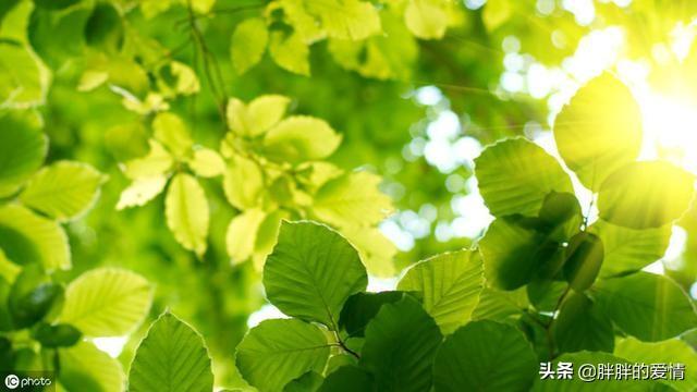 句透人生的哲理短句子（人生哲理的经典句子,看完让你受益匪浅!）