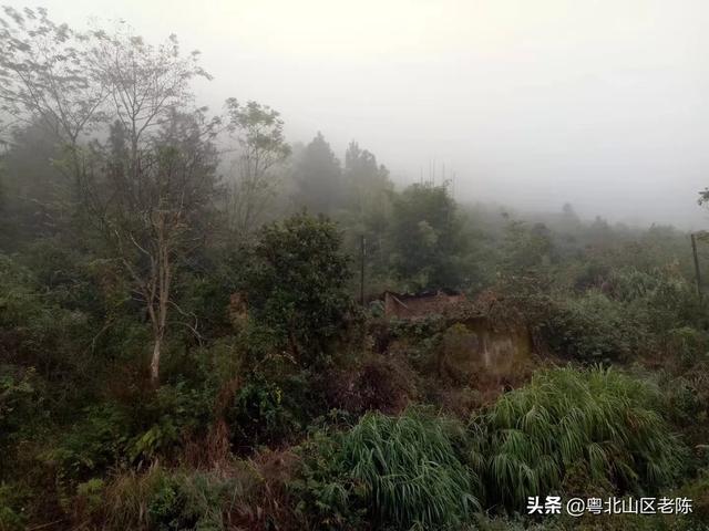 专业牛舍搭建网站