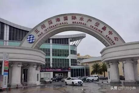 广州市最大海鲜码头？