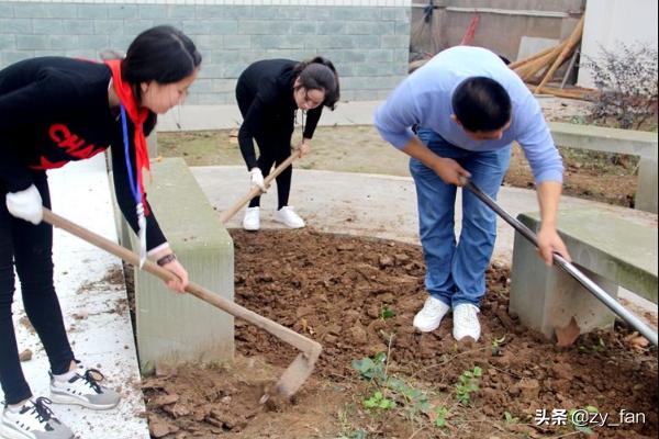 绿化种植规范标准 草坪图片 养护方案