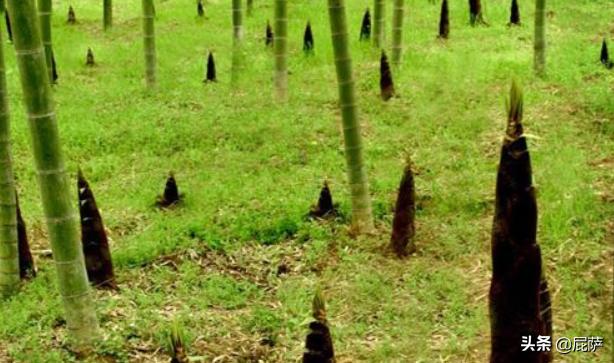 搞笑段子200字（搞笑段子大全100字）