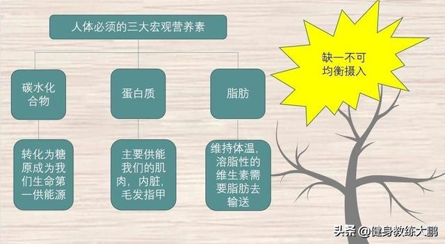湿气重肚子大怎么排湿减肥(图3)