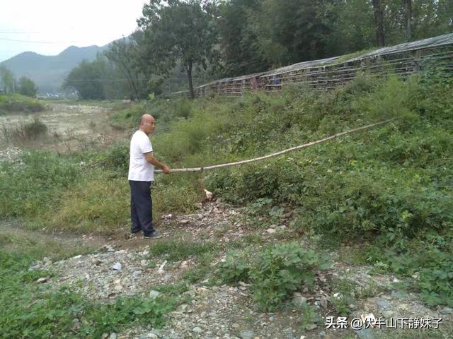 养羊论坛贴吧 农村山里散养养羊赚钱吗？