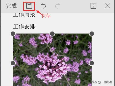 手机壁纸女（手机WPS怎样把图片的格式变成jpg？）