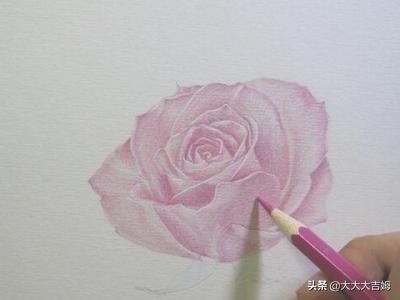 素描花卉画法? 素描花卉画法教案!