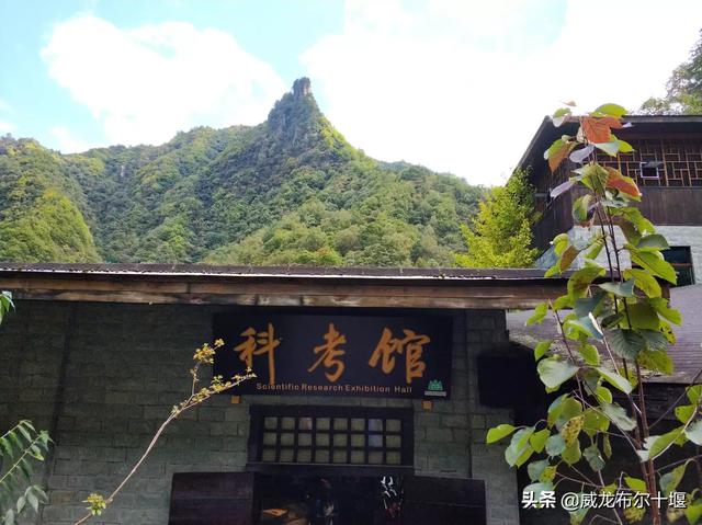 暑假国外避暑旅游推荐 国内旅游吗-暑假国外避暑旅游推荐 国内旅游吗知乎