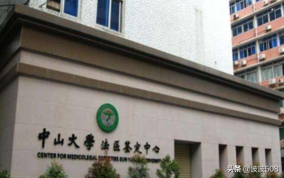 亲子如何鉴定(亲子鉴定机构)