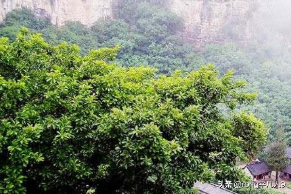 青州小孩旅游攻略路线， 青州小孩旅游攻略路线图